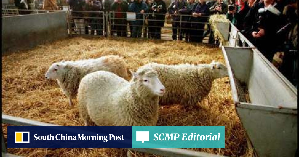 why was dolly the sheep important learn.genetics.utah.edu cloning worksheet answers